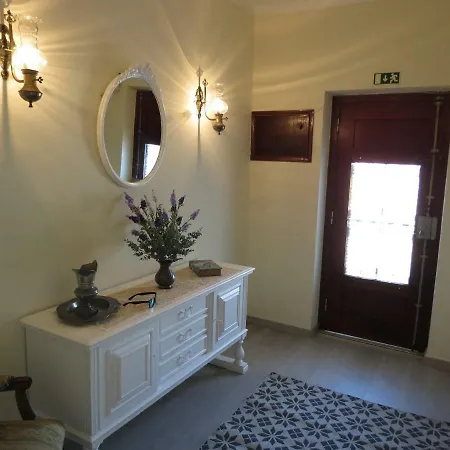 فيلة Vitoria